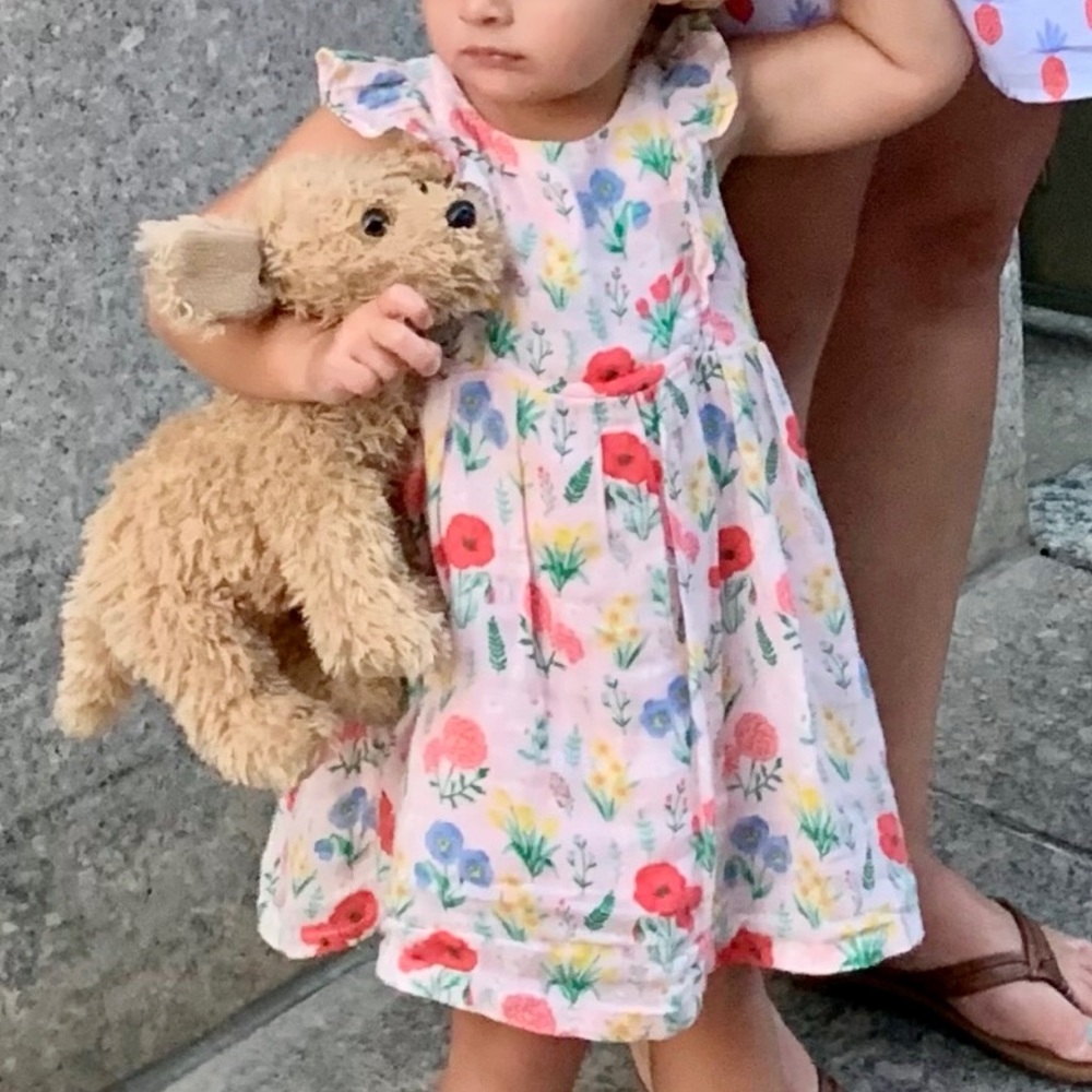 Angel Dear 18-24m Girl’s Pink Poppy Floral Muslin Dress with diaper cover.
